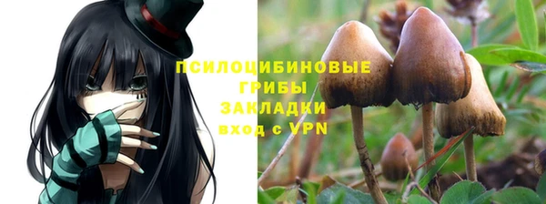 мяу мяу мука Мегион