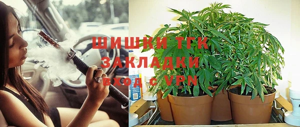 стаф Михайлов